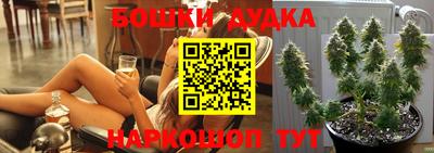 стафф Новодвинск