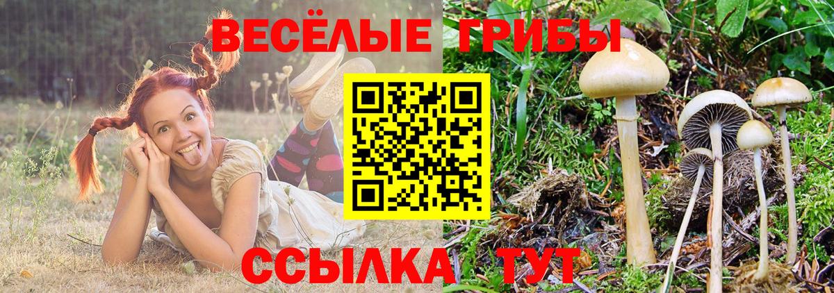 Псилоцибиновые грибы мицелий Ревда