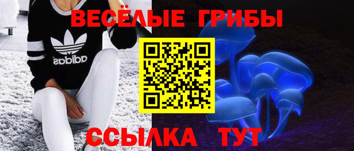 Галлюциногенные грибы ЛСД  Вход с VPN  Ревда  Галлюциногенные грибы Cubensis 